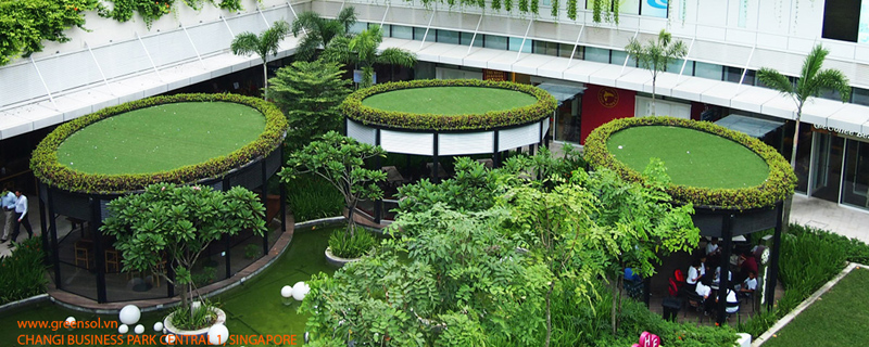 Kỹ thuật thi công vườn trên mái đến từ Singapore